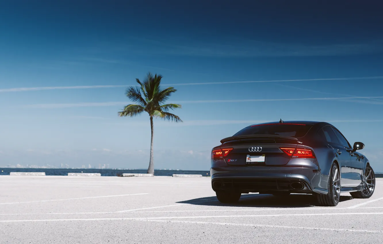 Фото обои пальма, Audi, ауди, rear, parking, RS7
