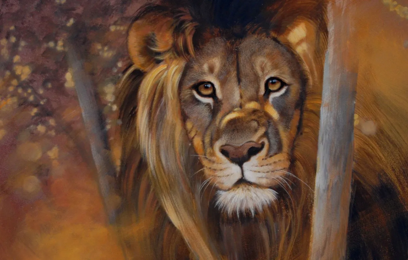 Фото обои eyes, lion, look, pollyanna pickering paintings