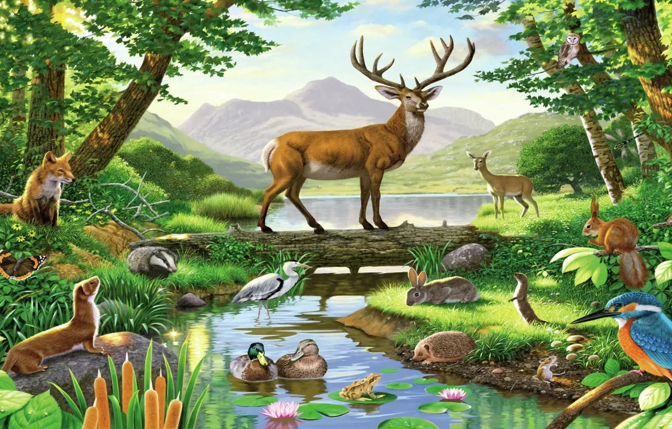 Фото обои лес, птицы, рисунок, картина, олень