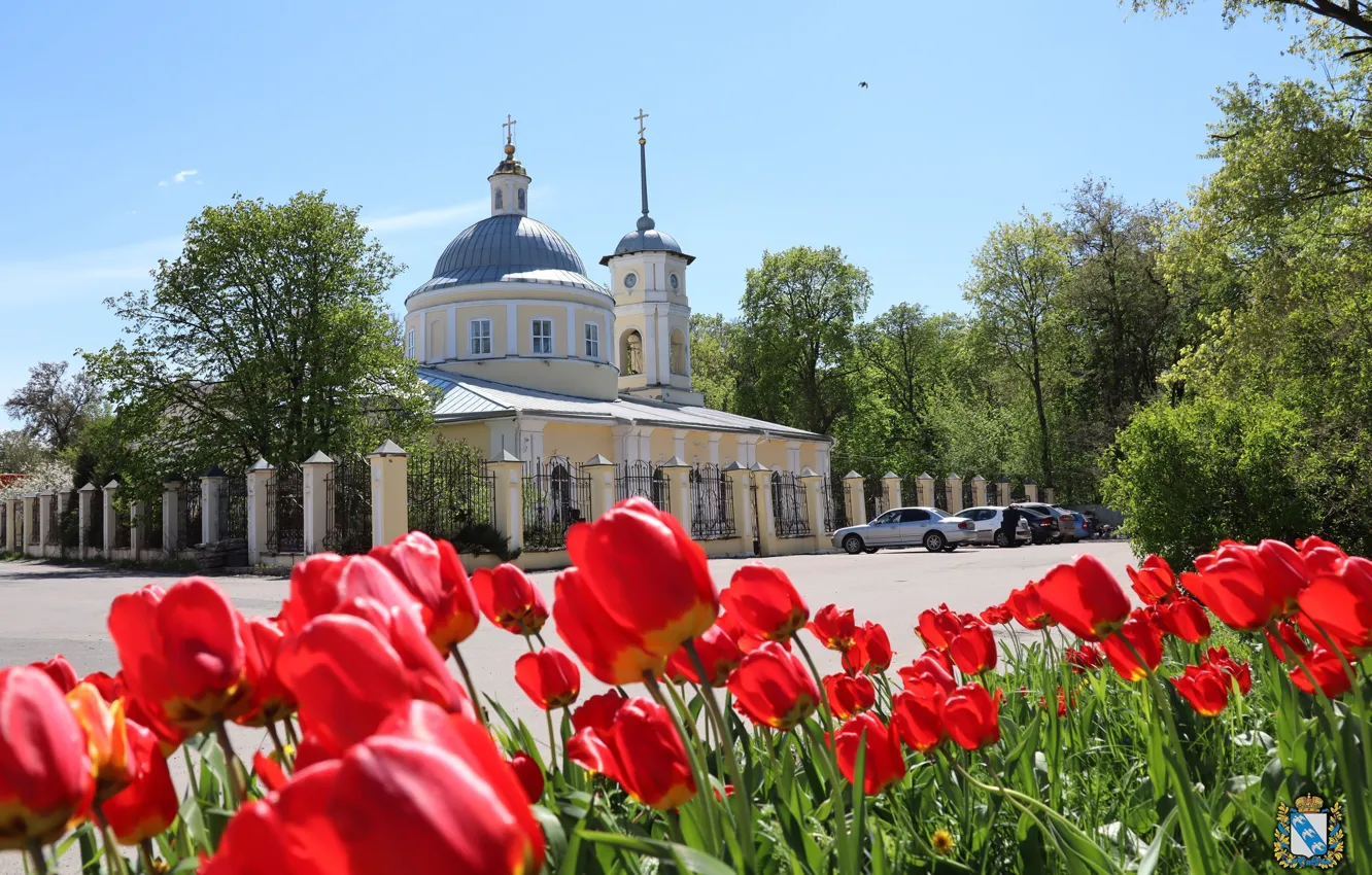 Фото обои Весна, Тюльпаны, Храм