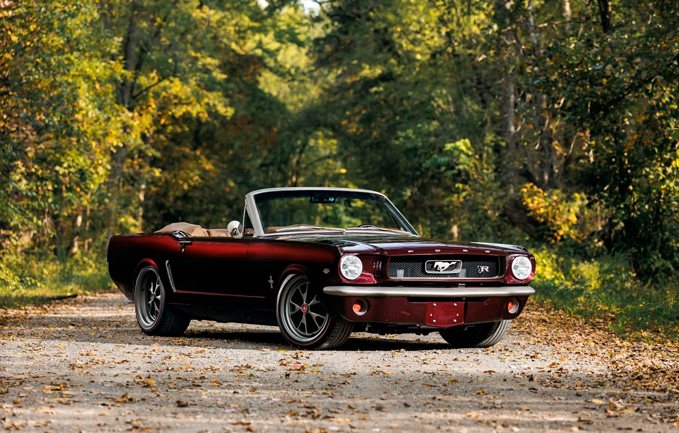 Фото обои Mustang, Ford, front view, Ringbrothers, 1965 Ford Mustang Convertible, Ford Mustang Uncaged