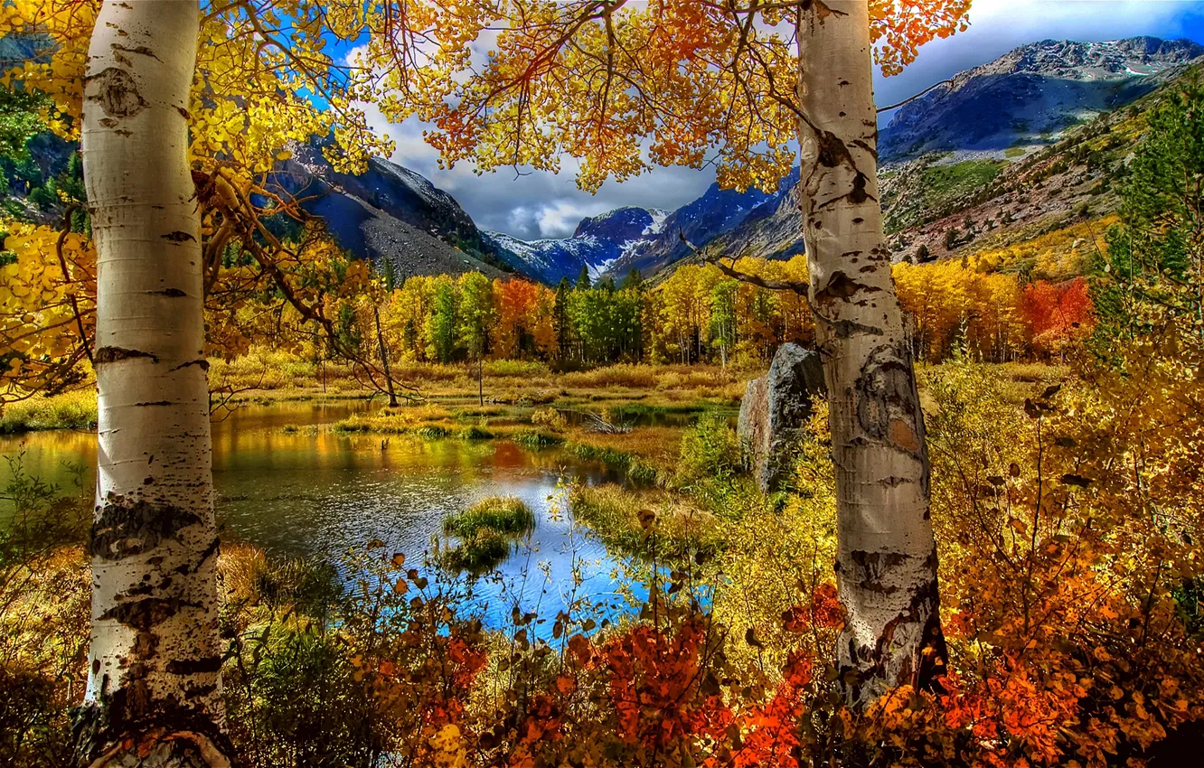 Фото обои осень, небо, трава, листья, пейзаж, горы, природа, озеро