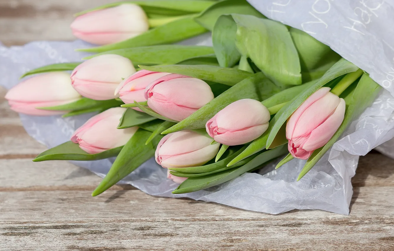 Фото обои цветы, букет, тюльпаны, розовые, wood