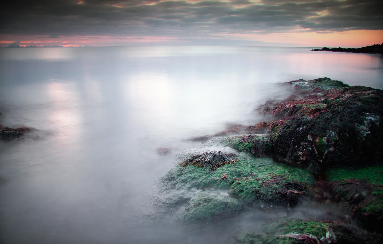Фото обои море, водоросли, тучи, камни, спокойствие