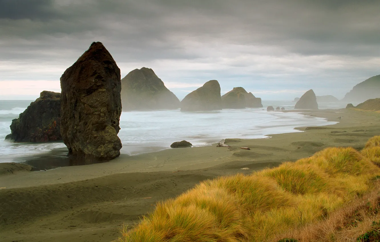 Фото обои песок, трава, камни, побережье, Море