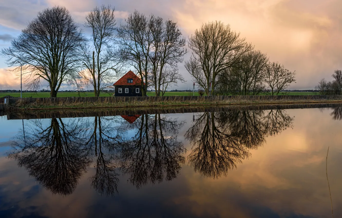 Фото обои поле, деревья, дом, отражение, река, вечер, Нидерланды, Oudendijk