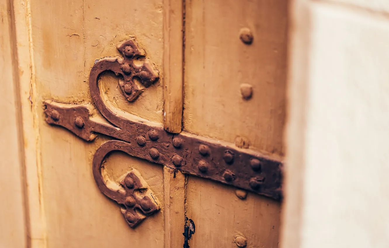 Фото обои metal, art, door, ironwork