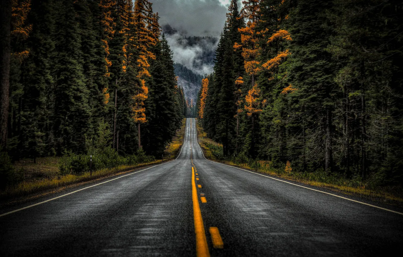 Фото обои дорога, осень, лес, деревья, штат Вашингтон, Washington State, Highway 410