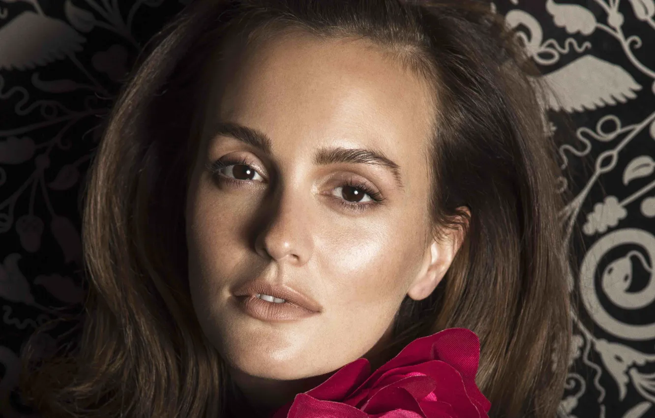 Фото обои взгляд, Leighton Meester, знаменитость