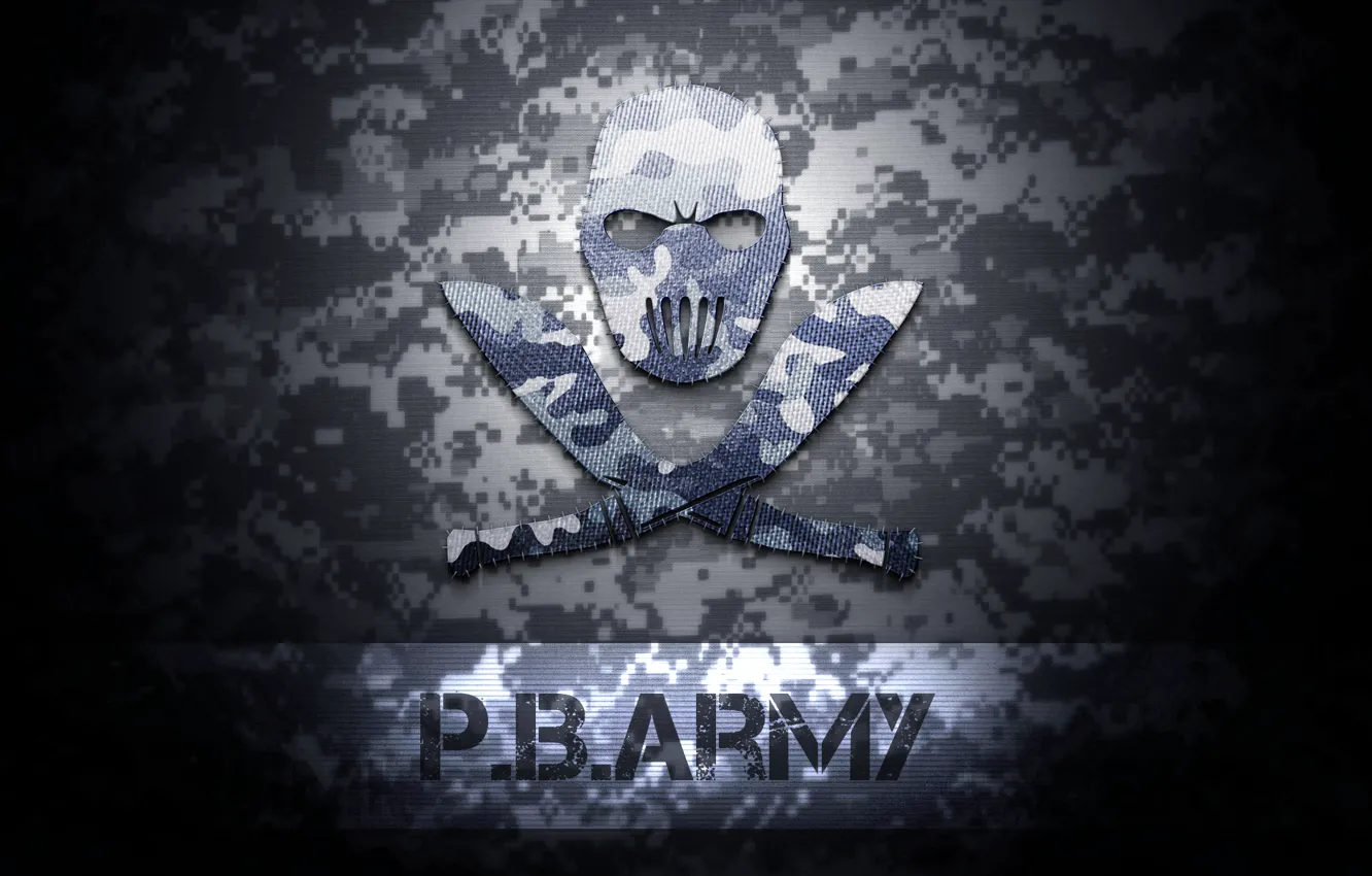 Фото обои зимний, логотип, logo, texture, army, Point Blank, поинт бланк, комуфляж
