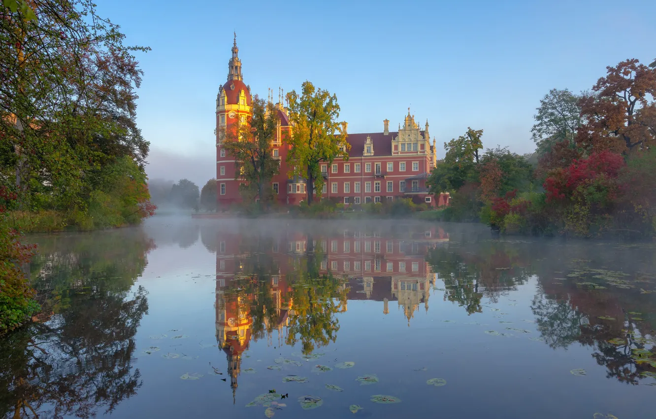 Фото обои парк, отражение, река, замок, утро, Германия, Germany, Саксония