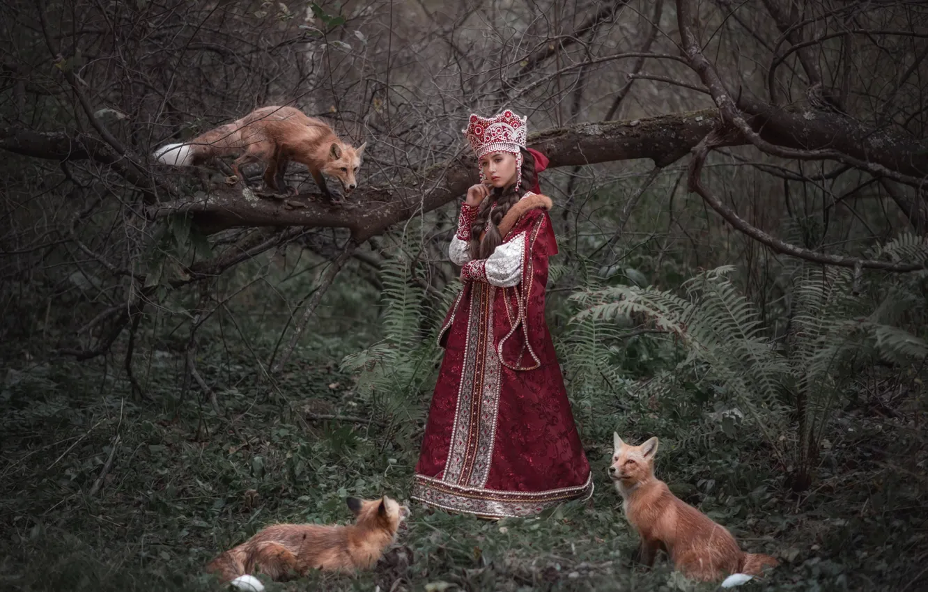 Фото обои лес, девушка, наряд, лисы, царевна, Софья Ознобихина
