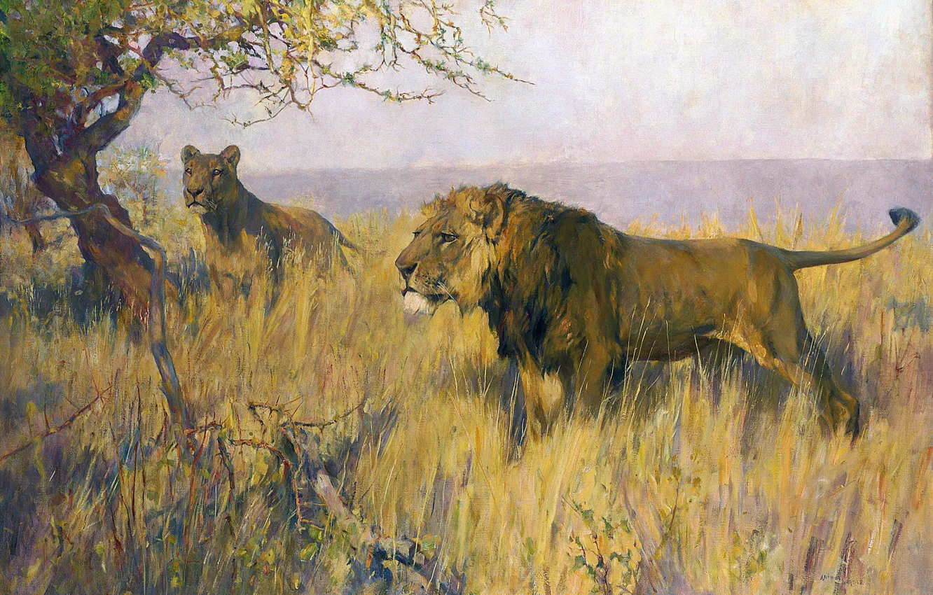 Фото обои Дерево, Трава, Картина, Лев, Двое, Arthur Wardle, Британский художник, Большие кошки
