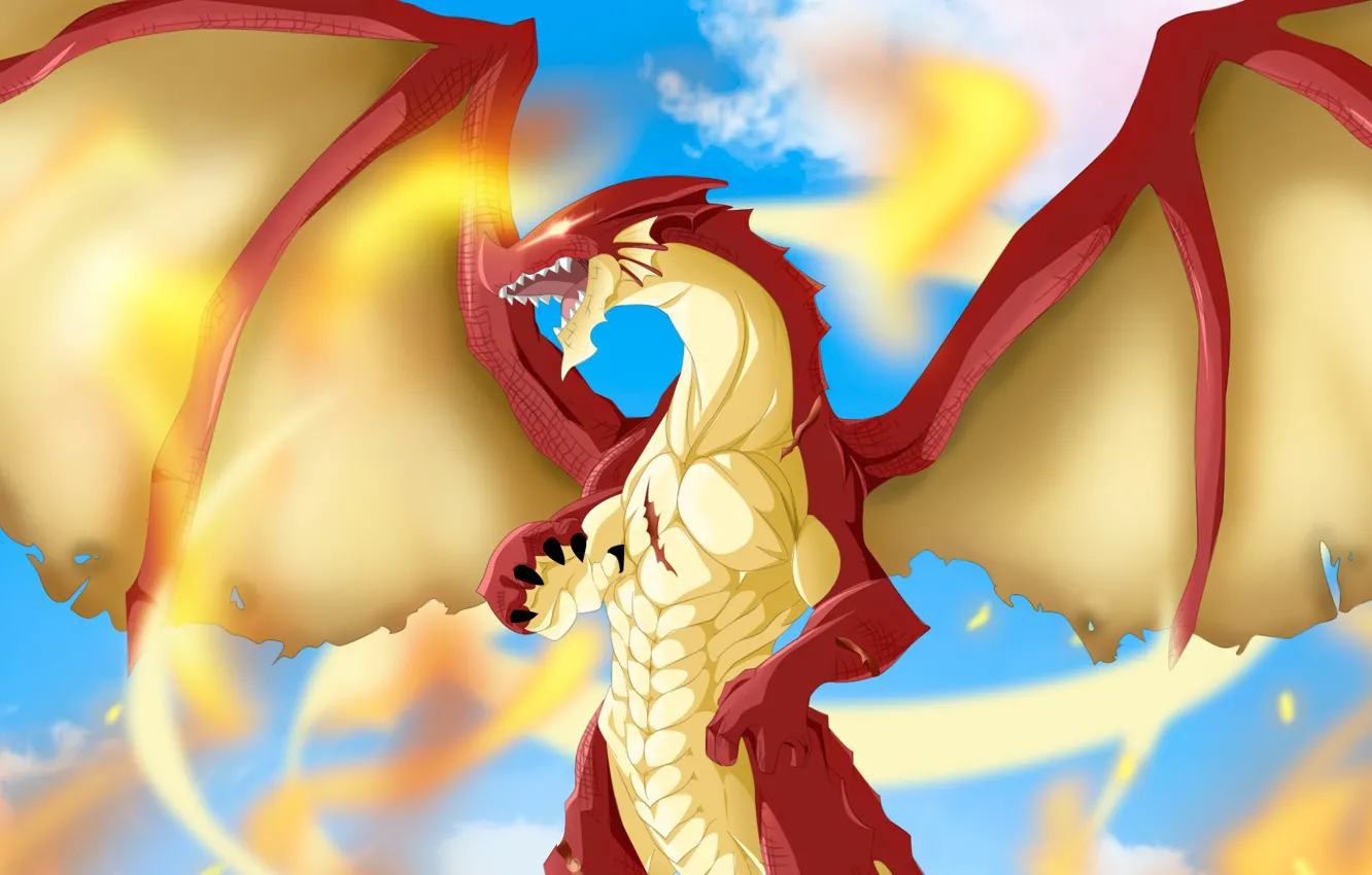 Фото обои fire, flame, game, sky, anime, cloud, fight, dragon