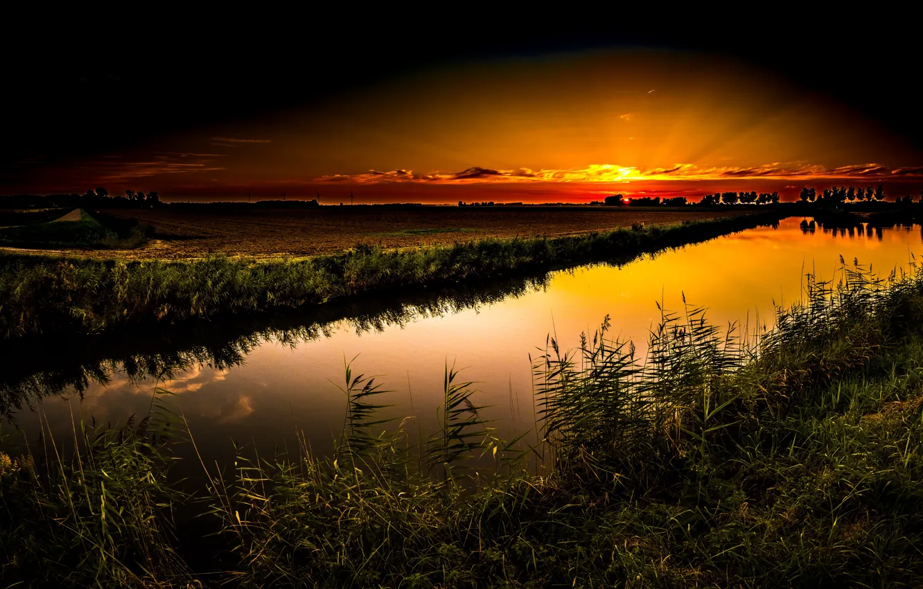 Фото обои ночь, природа, река