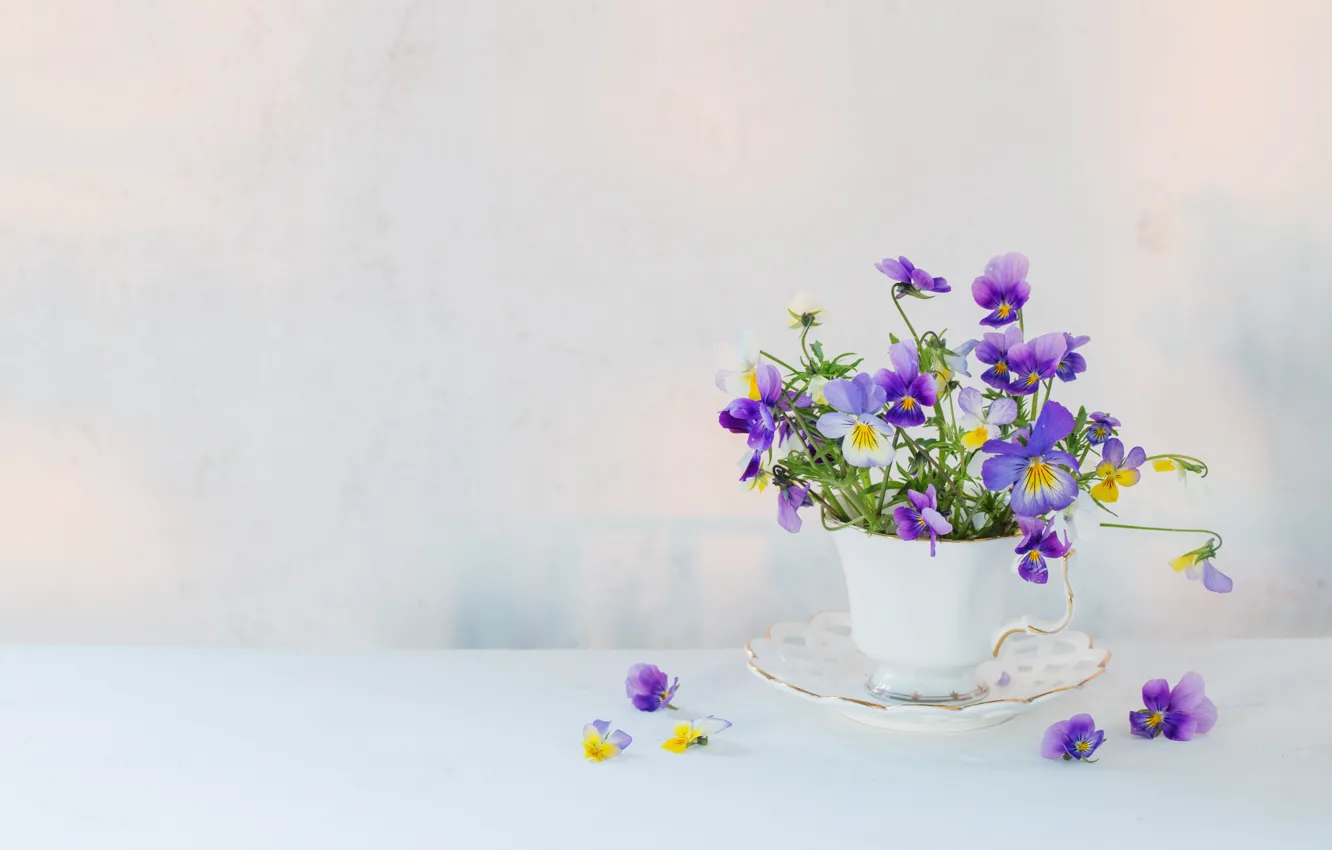 Фото обои цветы, стол, чашка, виола, Maya Kruchenkova