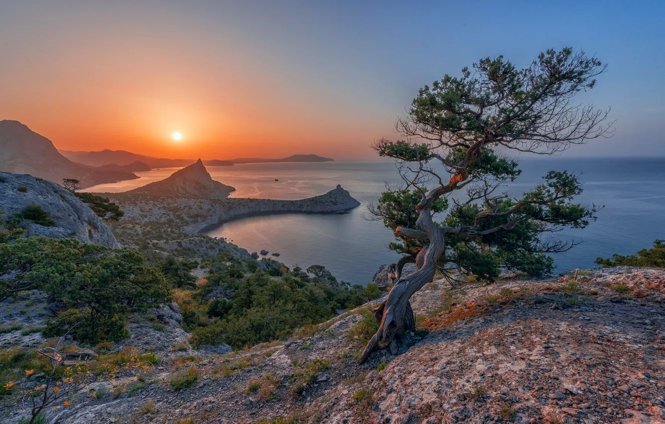 Фото обои море, пейзаж, горы, природа, дерево, скалы, побережье, Крым
