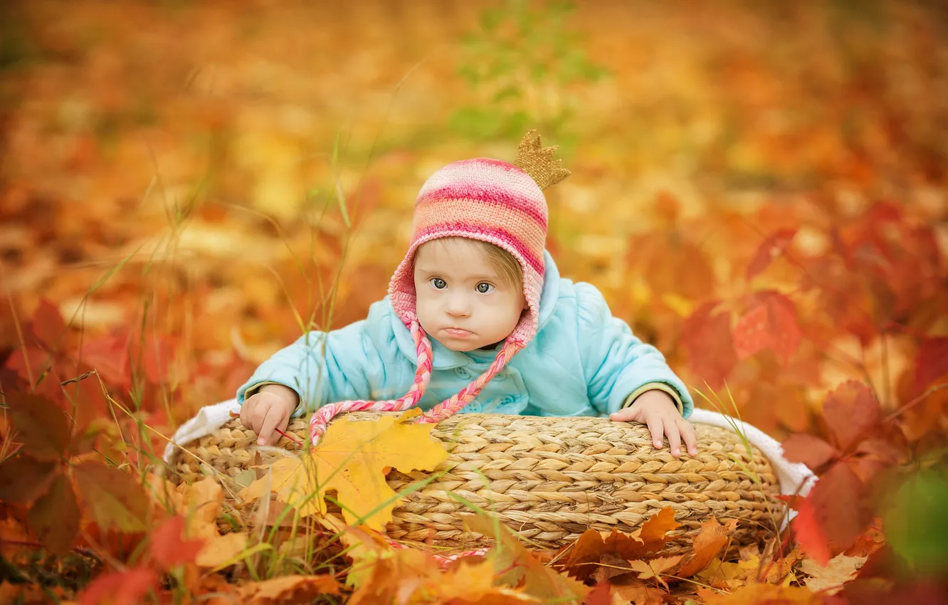 Фото обои осень, взгляд, листья, ребёнок, шапочка, младенец, сероглазый