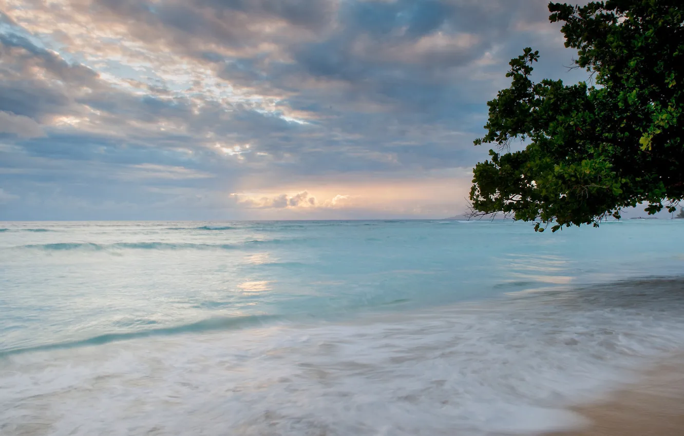 Фото обои море, пляж, закат, природа