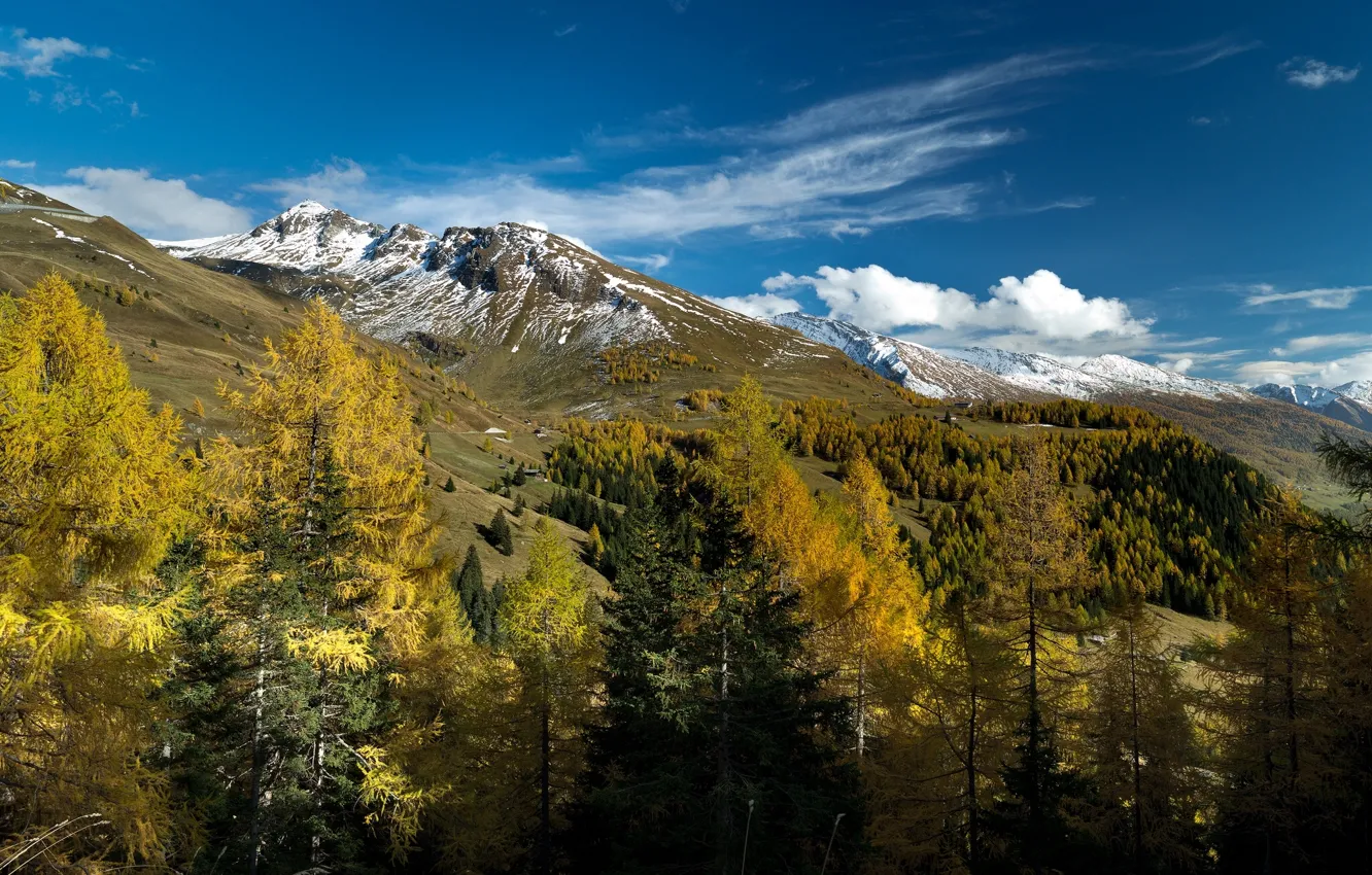 Фото обои осень, деревья, горы, Австрия, Альпы, Austria, Alps, Salzburg