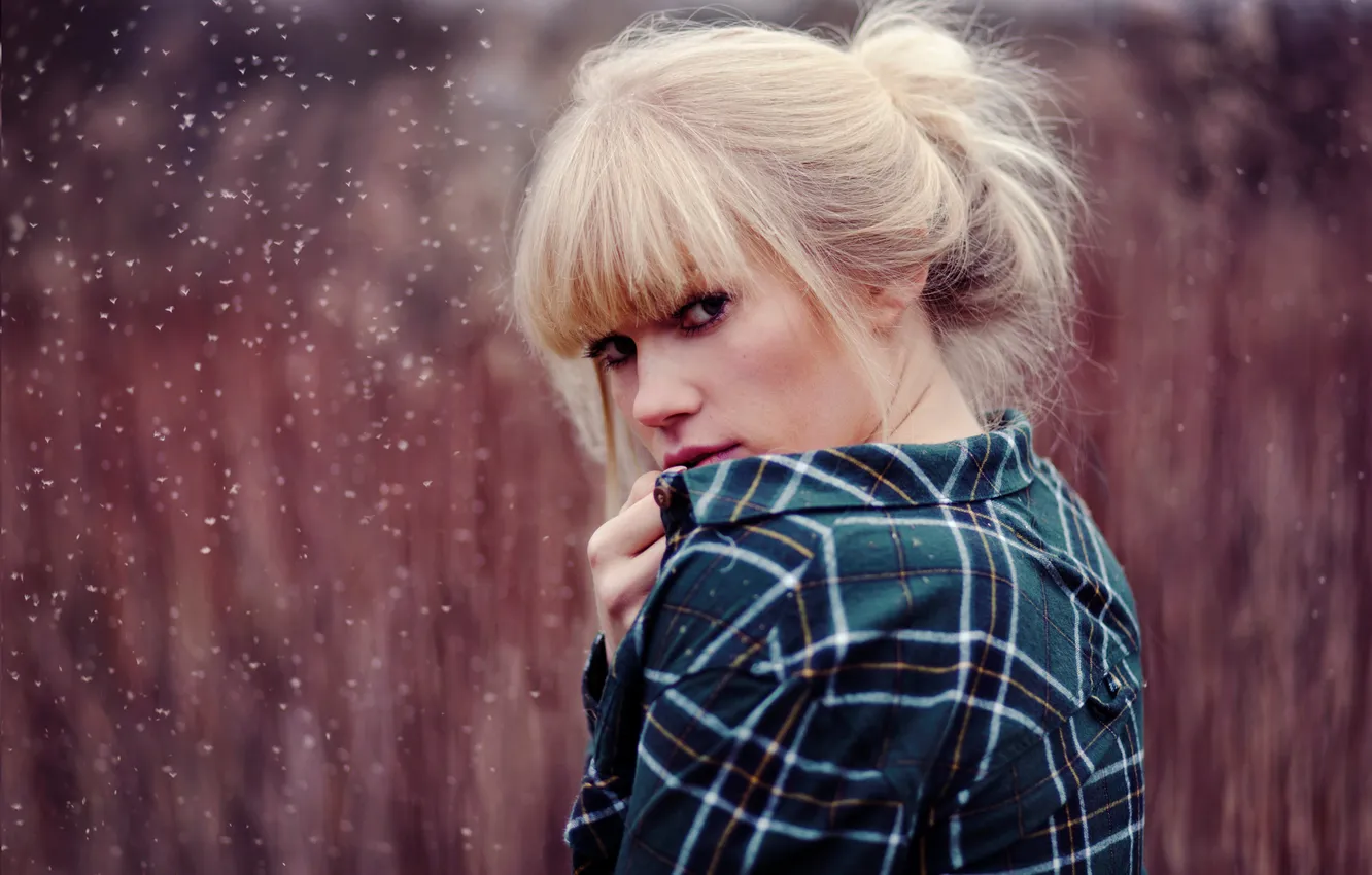 Фото обои взгляд, девушка, блондинка