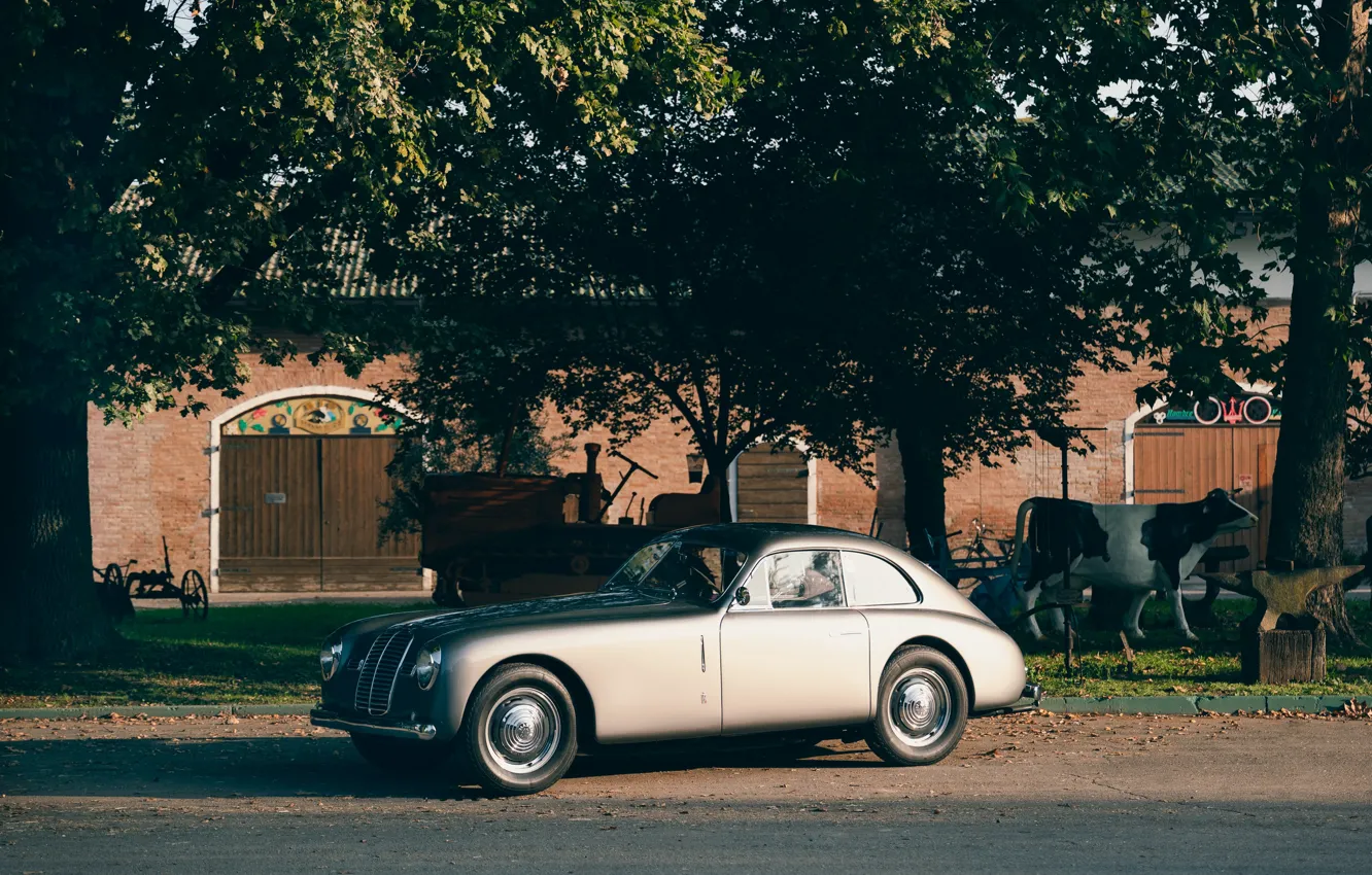 Фото обои trees, Maserati A6 1500 GT, 1949, car, Maserati