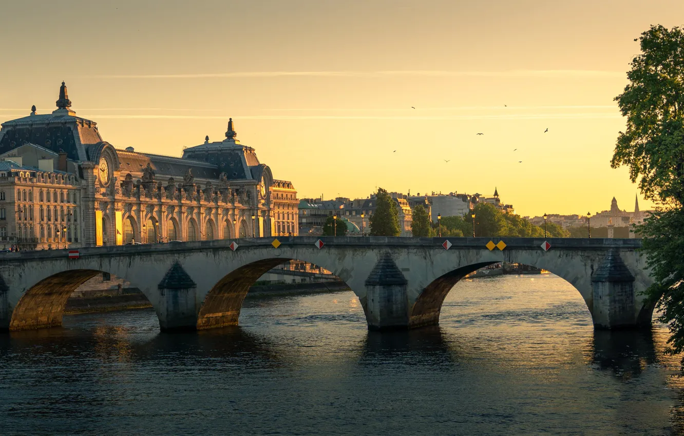 Фото обои небо, свет, деревья, птицы, мост, город, рассвет, Франция