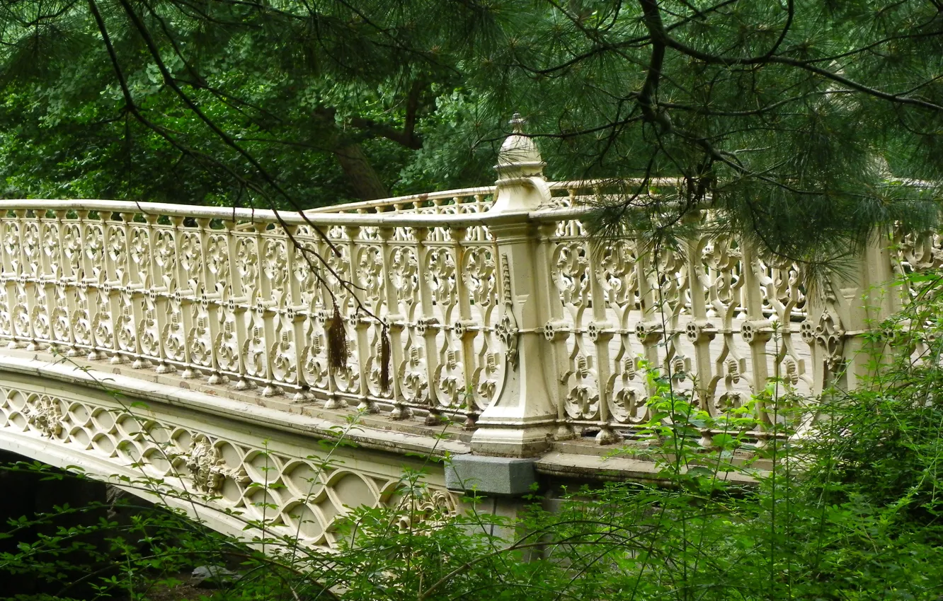 Фото обои мост, Нью-Йорк, bridge, New York, Центральный парк, Central park