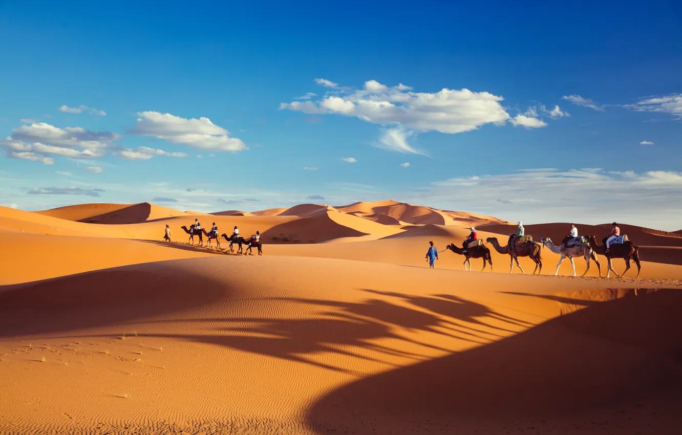 Фото обои песок, небо, облака, пустыня, тени, караван, доставка Алиэкспресс