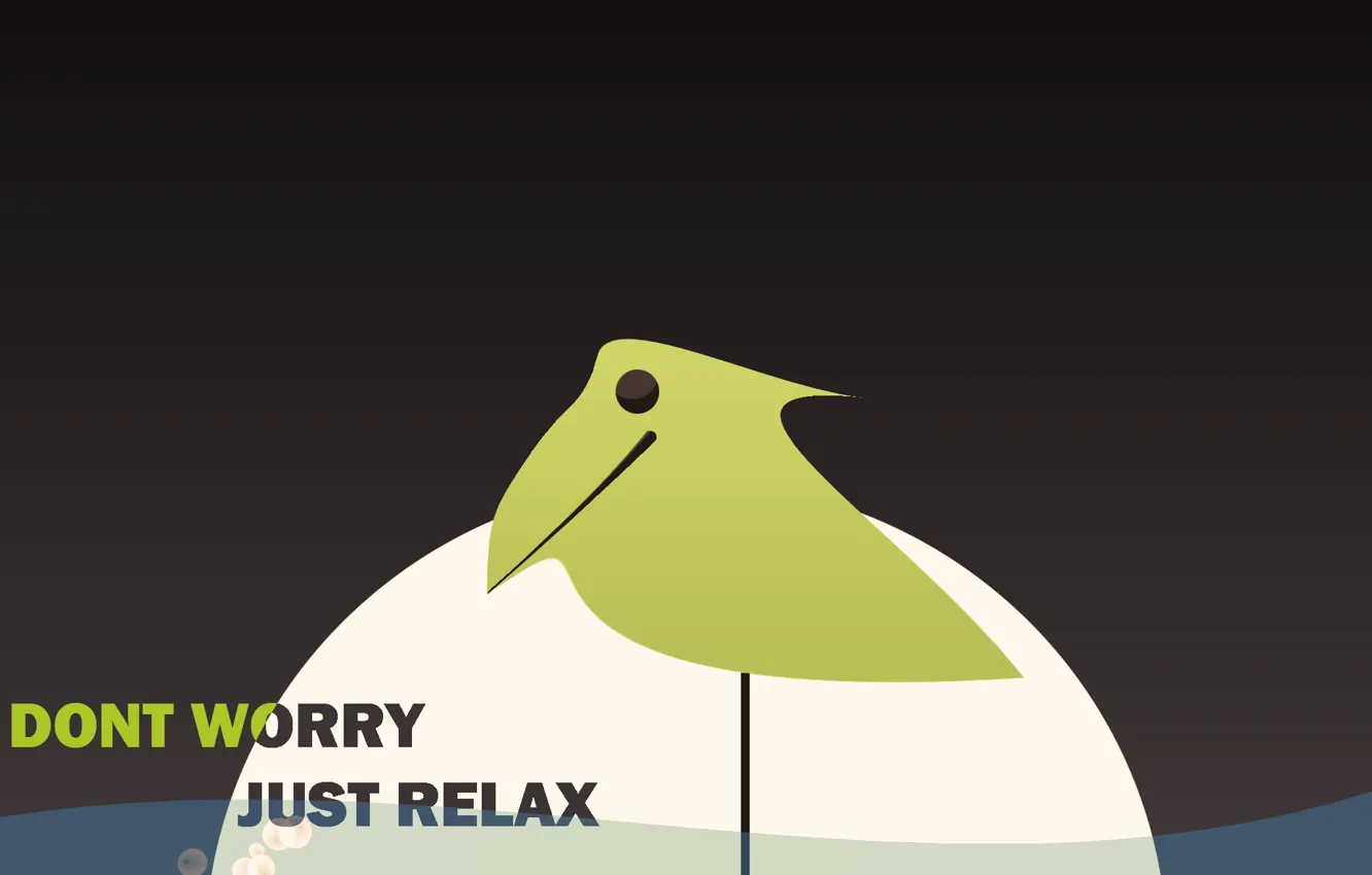Фото обои вода, птица, птичка, коричневый, dont worry, just relax