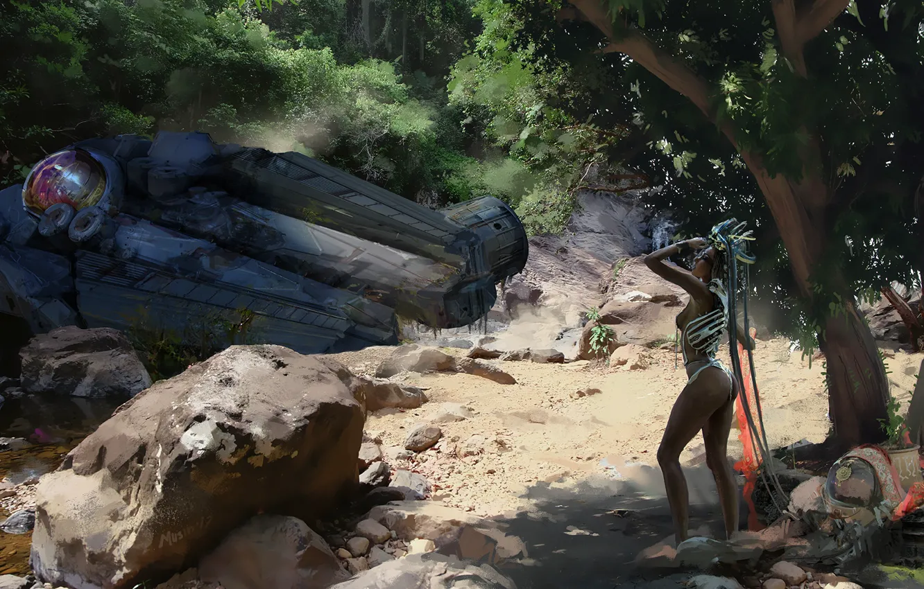 Фото обои горы, летательный аппарат, Smooth Landing