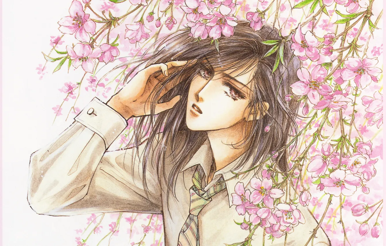 Фото обои сакура, галстук, рубашка, парень, манга, цветение, длинные волосы, art