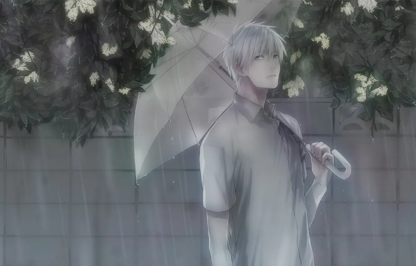 Фото обои цветы, дождь, зонт, парень, Kuroko No Basket, Kuroko Tetsuya, Баскетбол Куроко