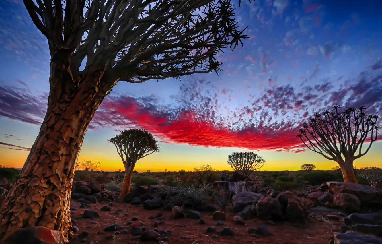 Фото обои Sky, Namibia, Pallette, Keetmanshoop
