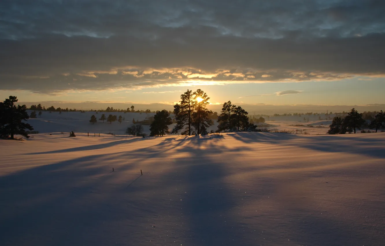 Фото обои снег, деревья, закат, Зима