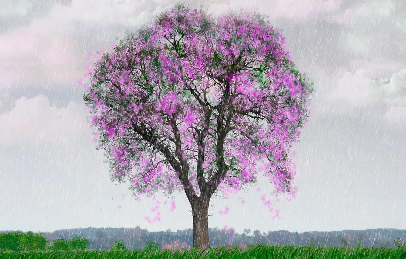 Фото обои дождь, дерево, весна, арт