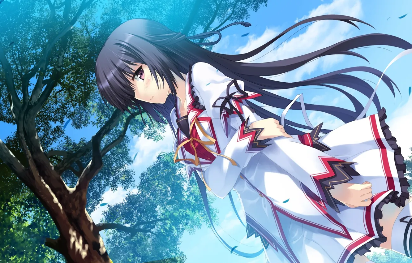 Фото обои Game CG, Tateha (Artist), Koiken Otome, Kamishiro Touko