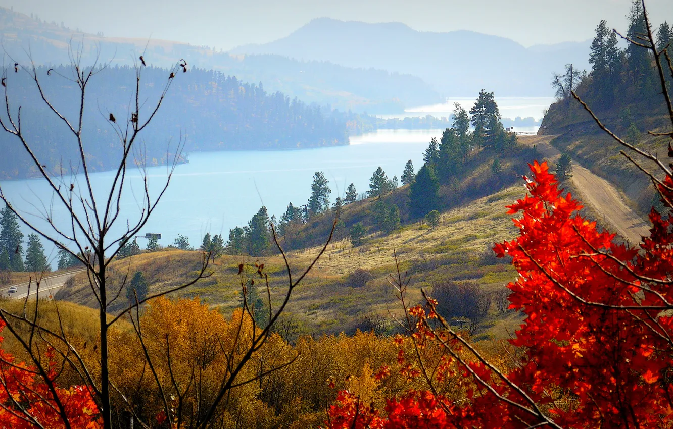 Фото обои дорога, осень, небо, деревья, горы, озеро, ветка
