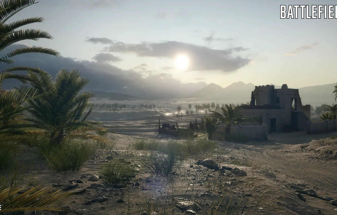 Фото обои горы, дом, пальмы, Battlefield 1, Suez