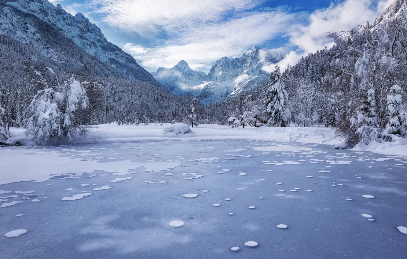 Фото обои зима, лес, горы, озеро, Словения, Slovenia, Kranjska Gora, Lake Jasna