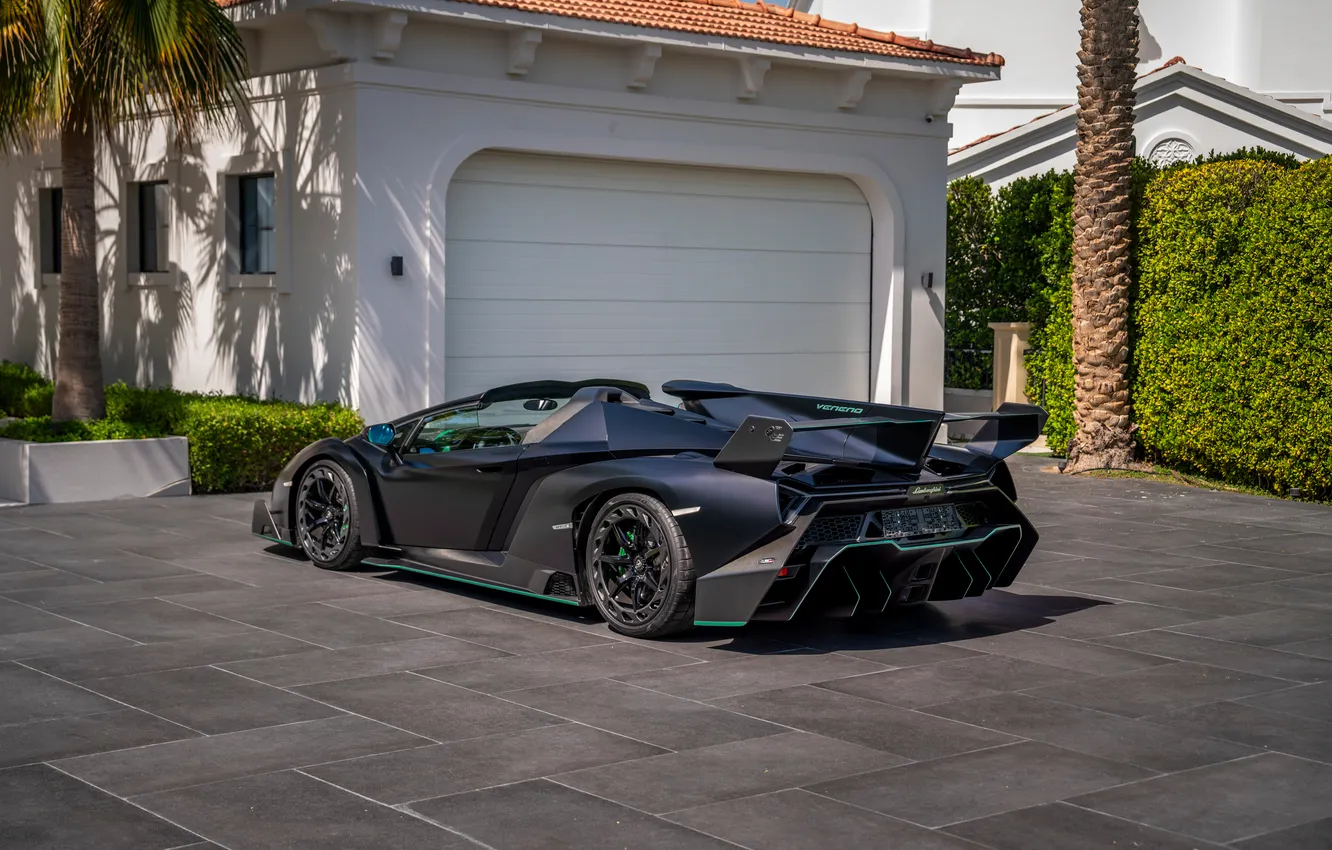 Фото обои Roadster, Lamborghini, суперкар, supercar, 2014, Veneno, единственный экземпляр, the only instance