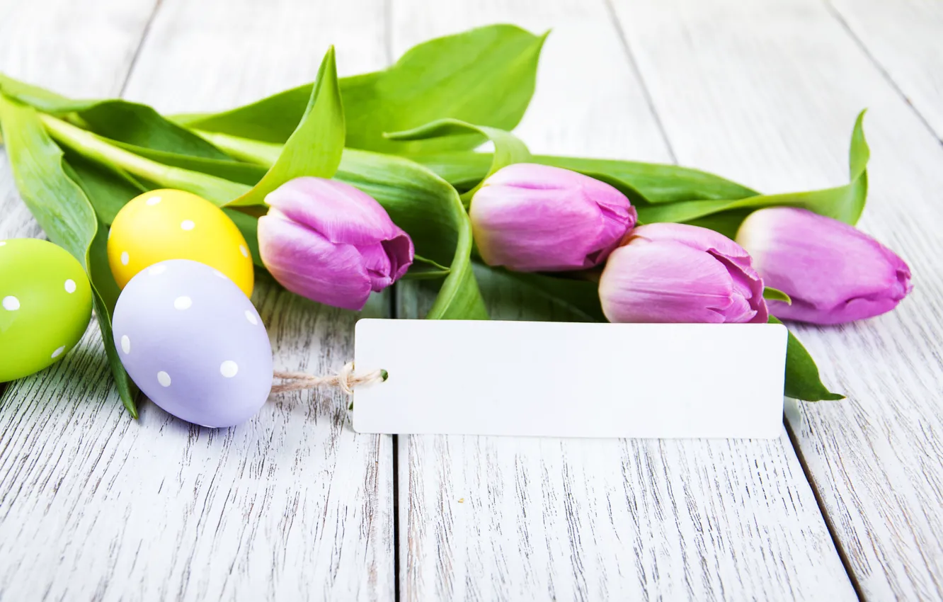 Фото обои цветы, Пасха, тюльпаны, happy, flowers, tulips, Easter, purple