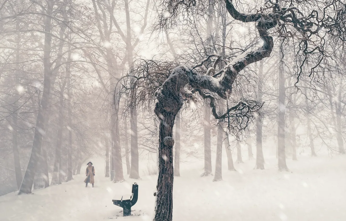 Фото обои зима, снег, дерево, человек, скамья