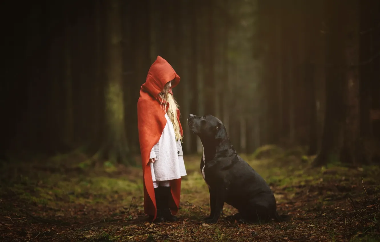 Фото обои лес, собака, девочка