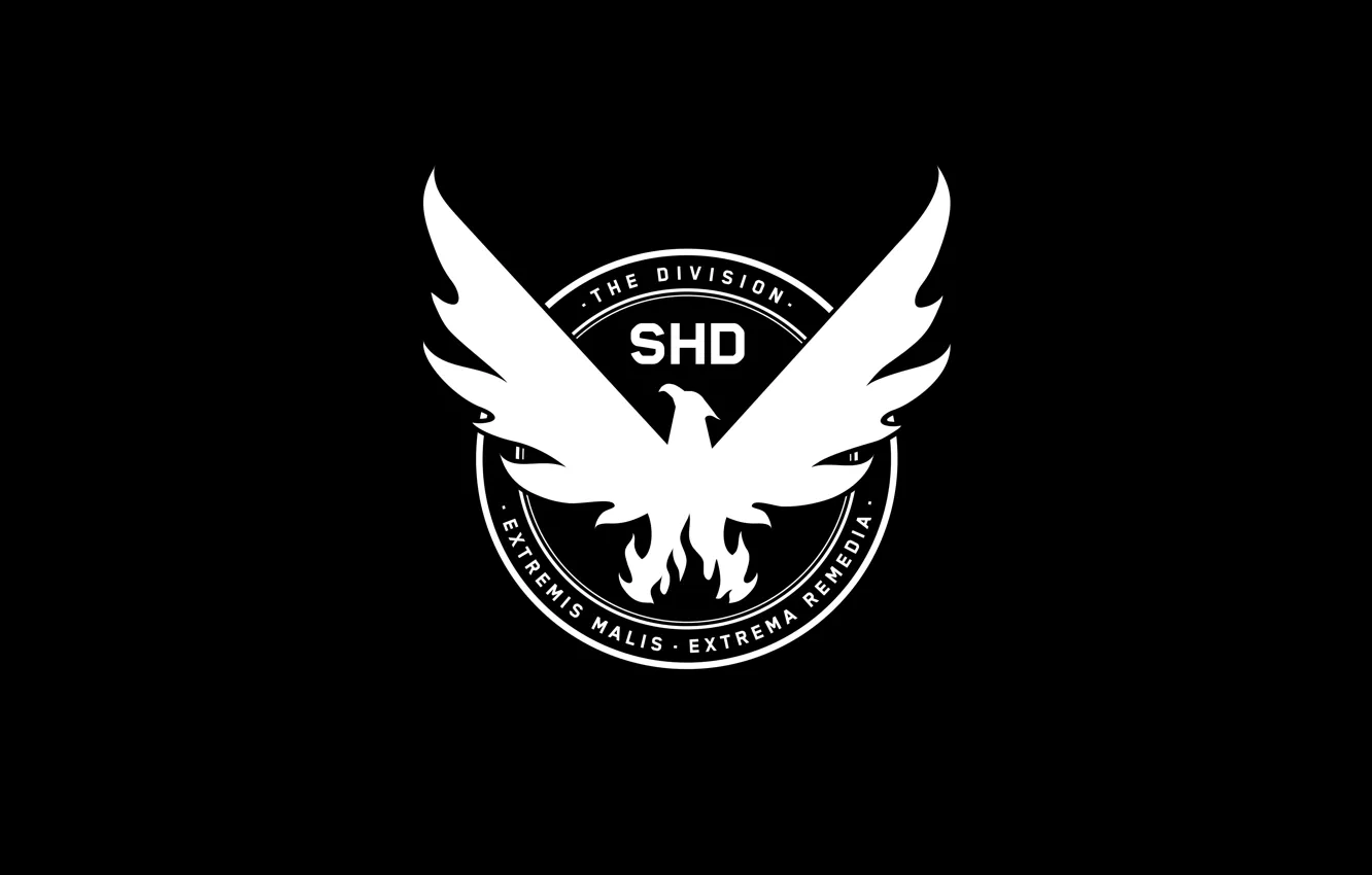 Фото обои Ubisoft, The Division, The Division 2