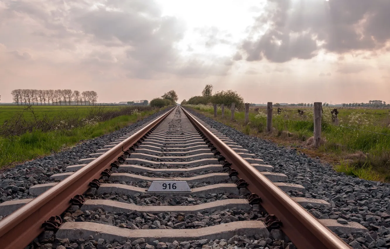 Фото обои дорога, поле, пейзаж