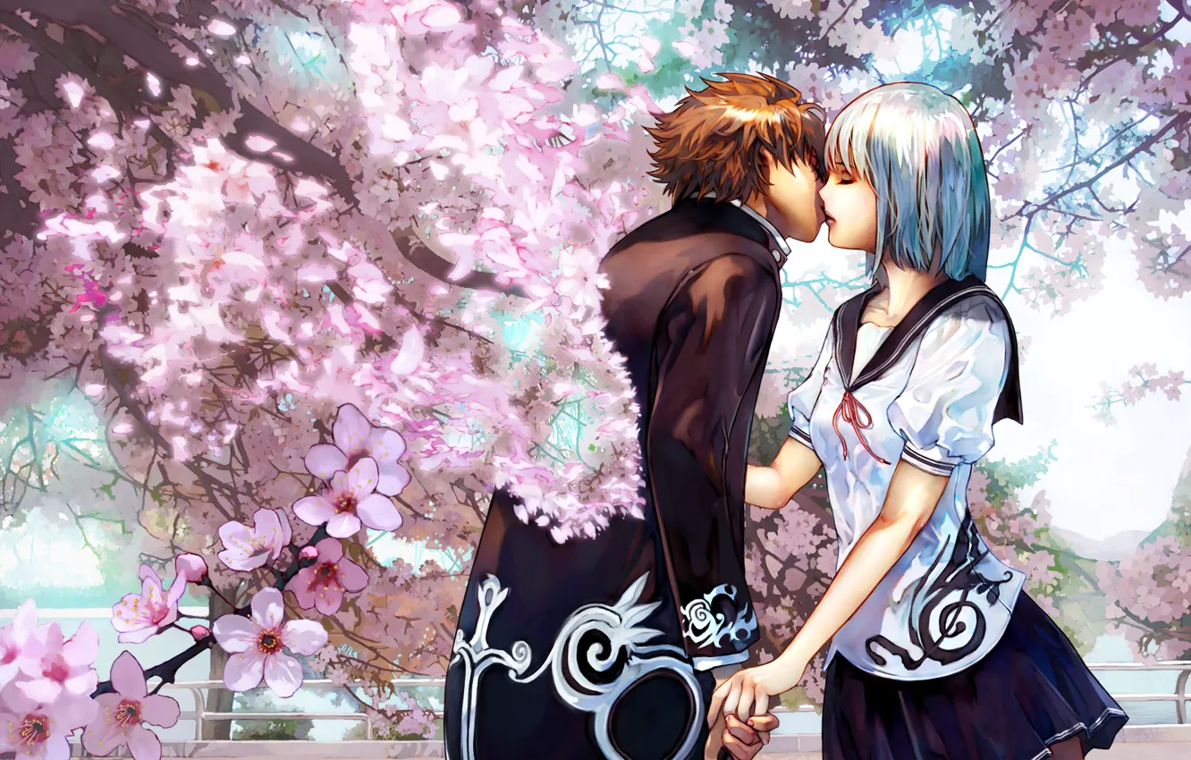 Фото обои поцелуй, пара, влюблённые, цветущая сакура, Cherry kiss