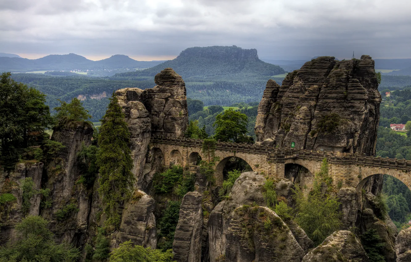 Фото обои лес, горы, мост, скалы, Германия, национальный парк