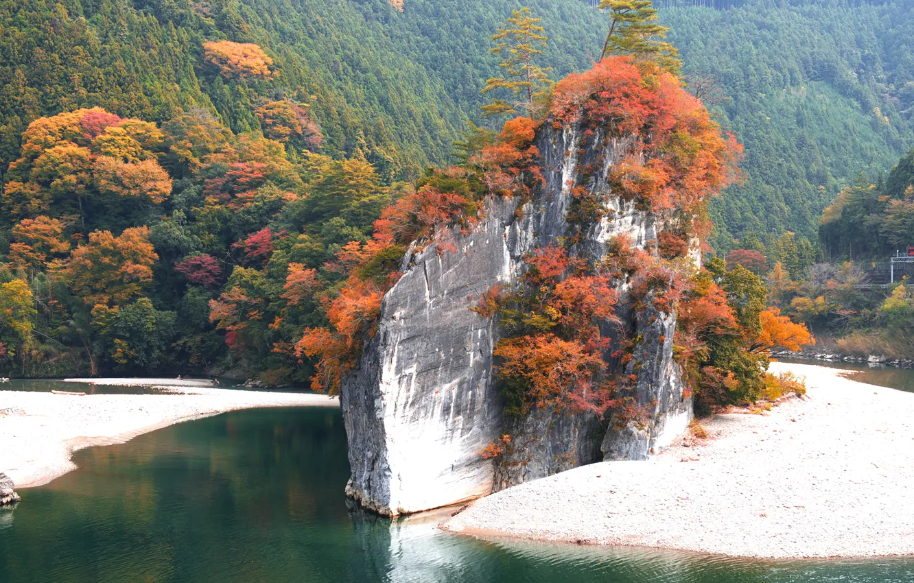 Фото обои осень, деревья, горы, скала, озеро