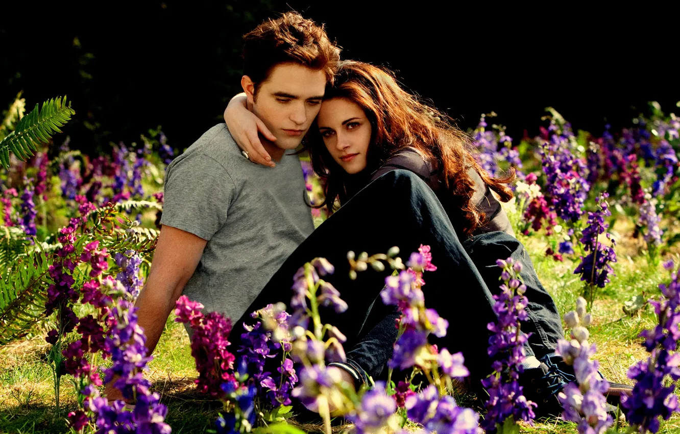 Фото обои поляна, влюбленные, Kristen Stewart, Robert Pattinson, beautiful, meadow, twilight saga